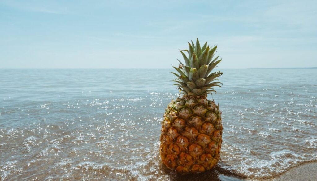 How Often Do You See Upside Down Pineapples on a Cruise Ship?